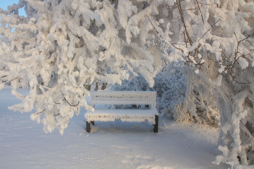 Photograph by Ольга Литвинцева