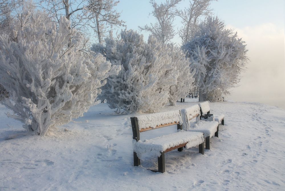 Photograph by Ольга Литвинцева