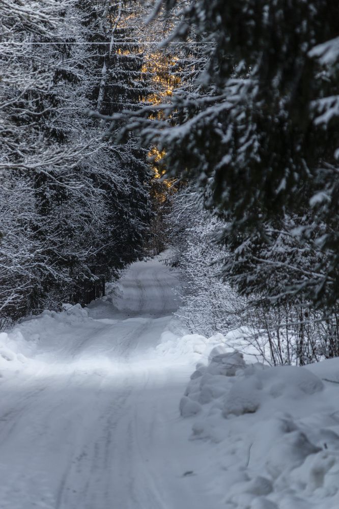 Photograph by Петр