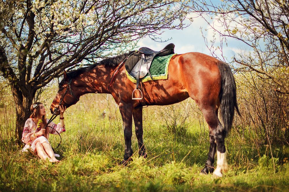 Photograph by Гузенко Анатолий