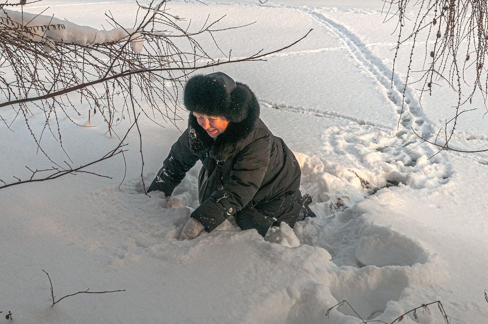 Photograph by Vladimir  Komarov