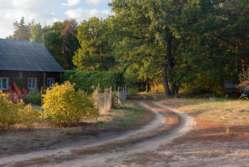 Photograph by Nikolay