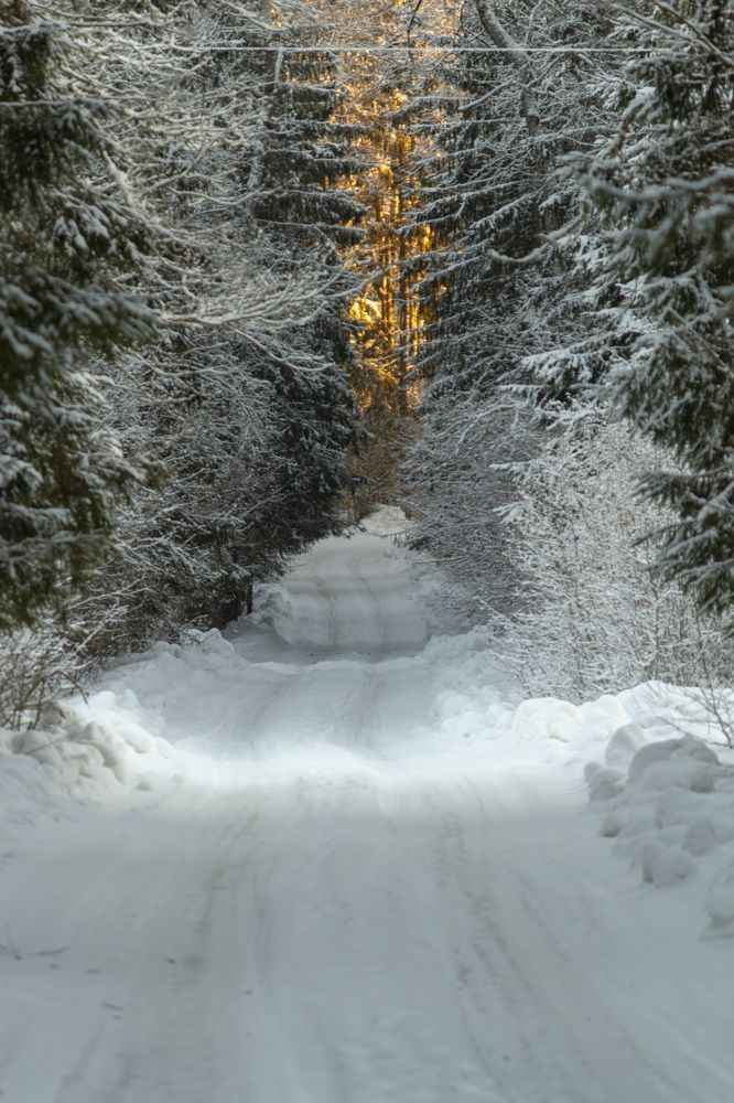 Photograph by Петр