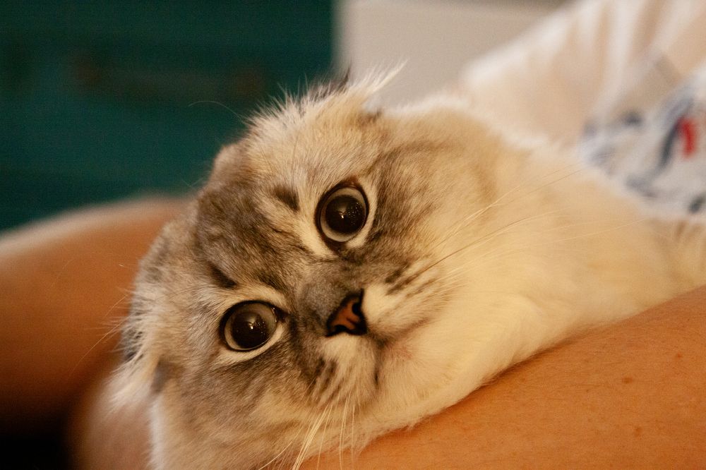 Photograph by Peter Budko