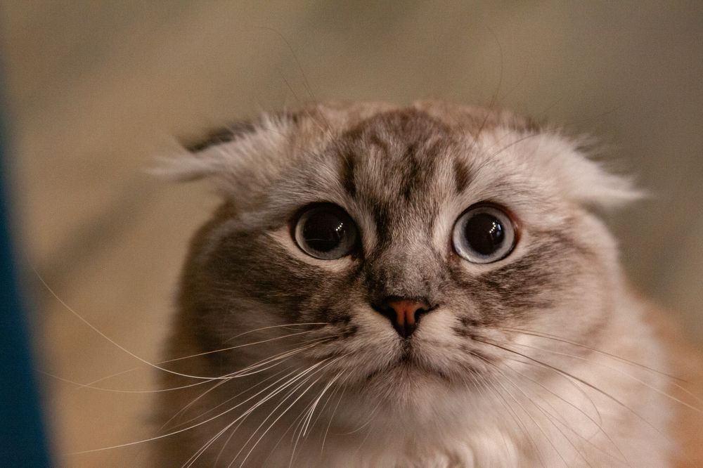 Photograph by Peter Budko