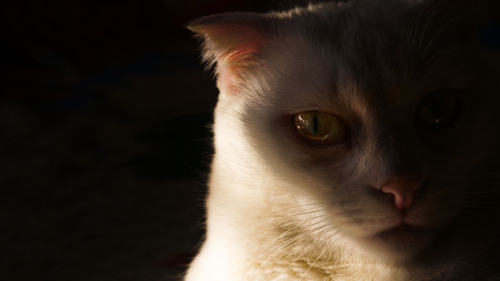 Photograph by Peter Budko