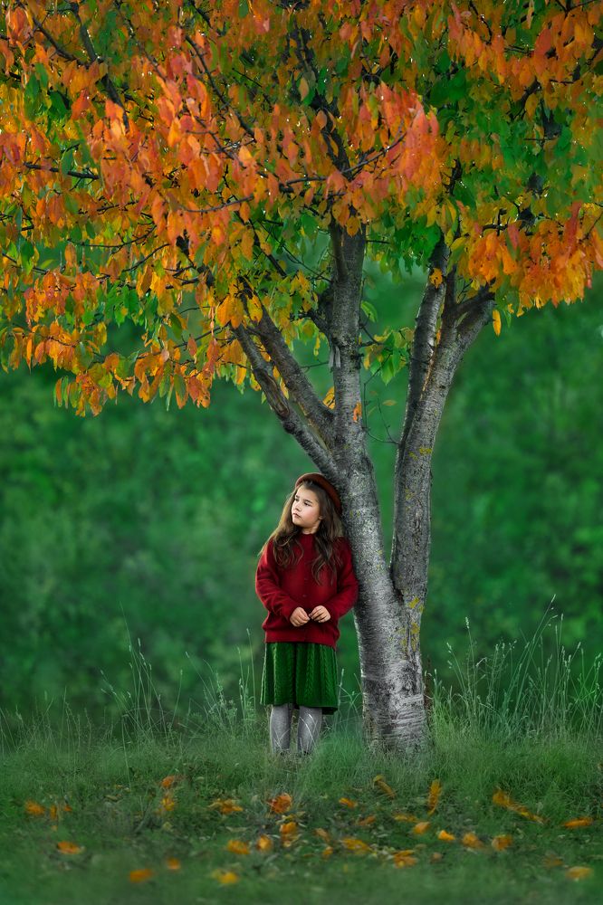 Photograph by Bögölyné Molnár Szilvia