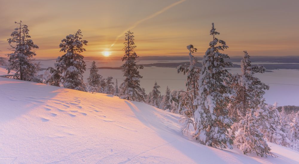 Photograph by Илья Еремеев