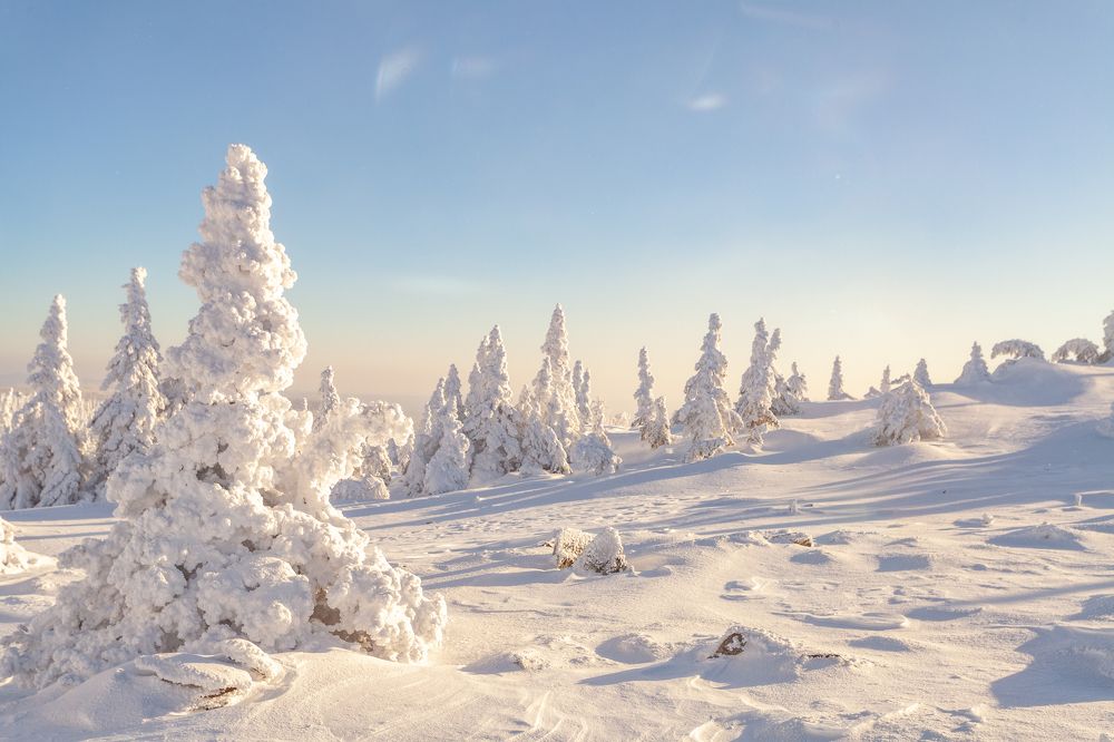 Photograph by Евгений Москвин