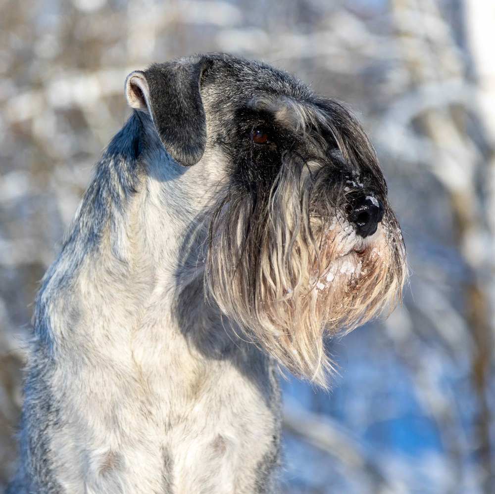 Photograph by Наталья Кирина