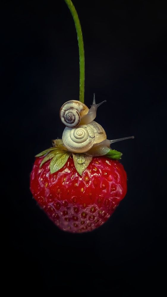 Photograph by Наталья Лищинская