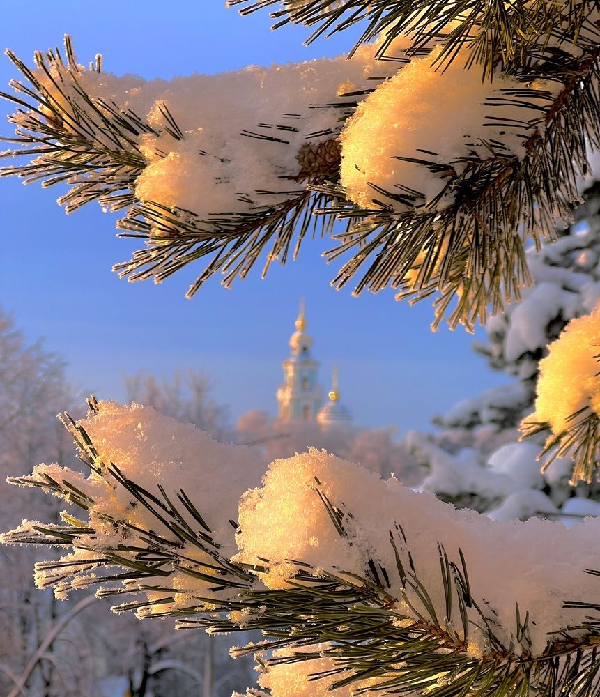 Мороз и солнце