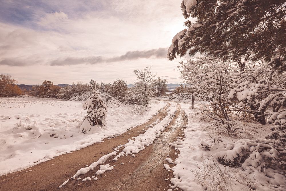 Photograph by Ди Си