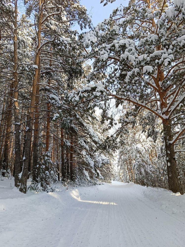 Photograph by Высотских Владимир