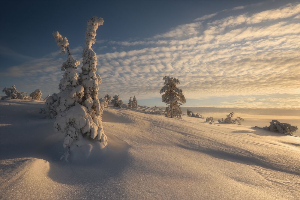 Photograph by Гордиенко Анатолий