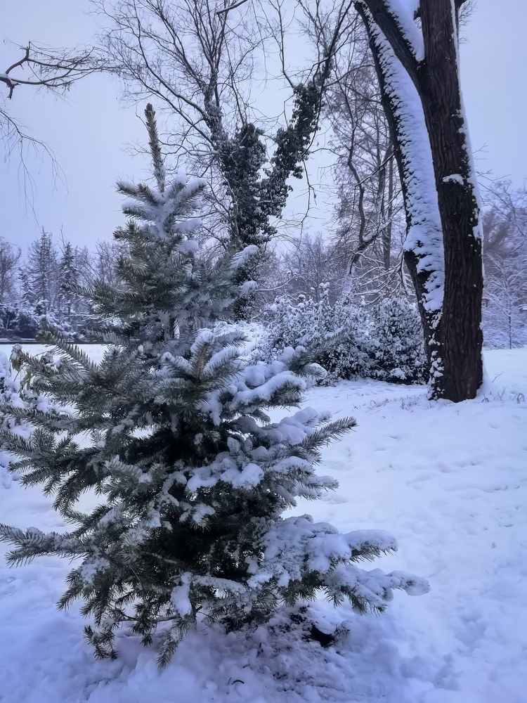 Photograph by Виктория Федосеенко