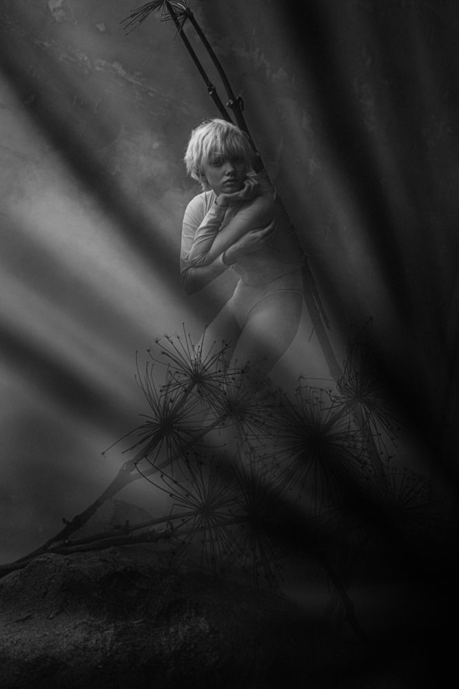 Photograph by Щеглова Марина