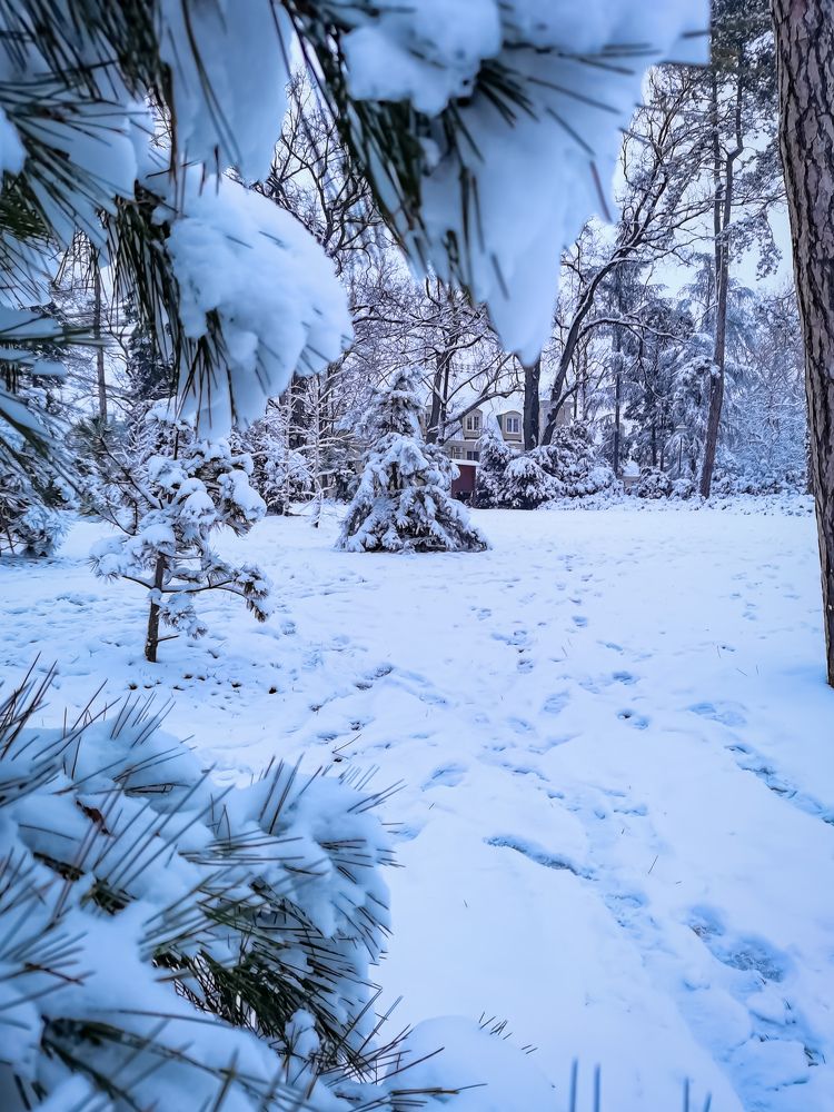 Photograph by Виктория Федосеенко