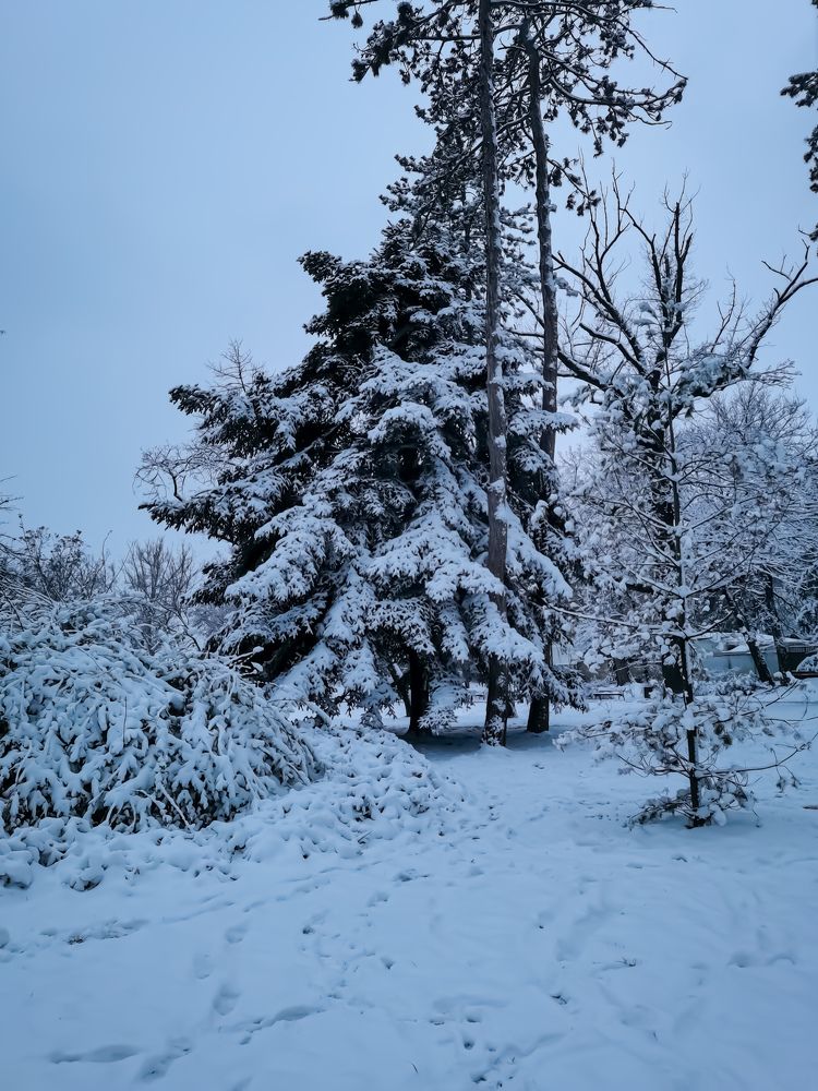 Photograph by Виктория Федосеенко