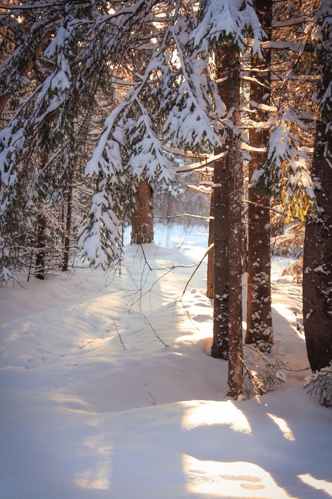 Photograph by Елена