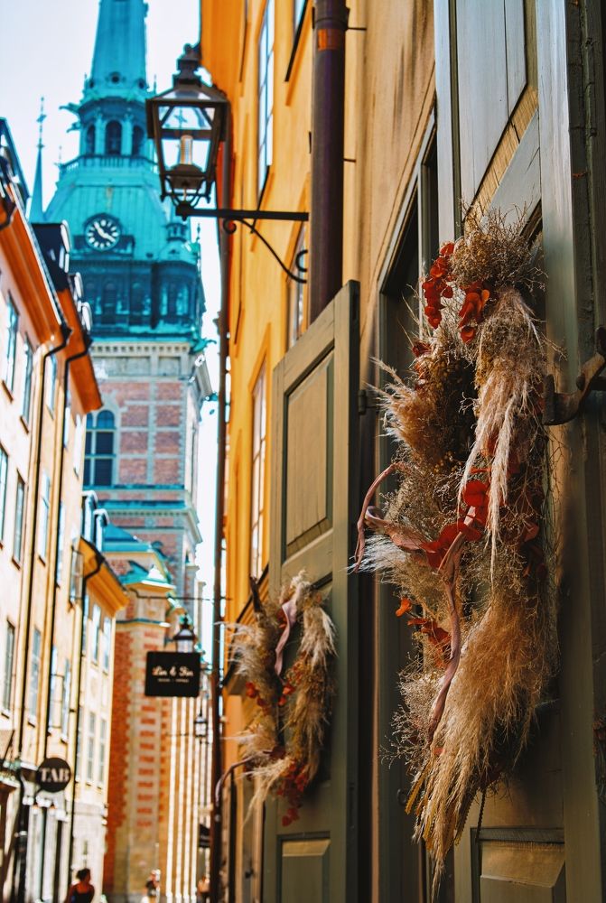 Фотография автора Irina Panina