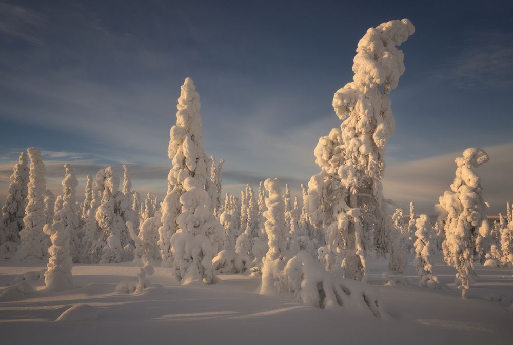 "В зимнем одеянии"