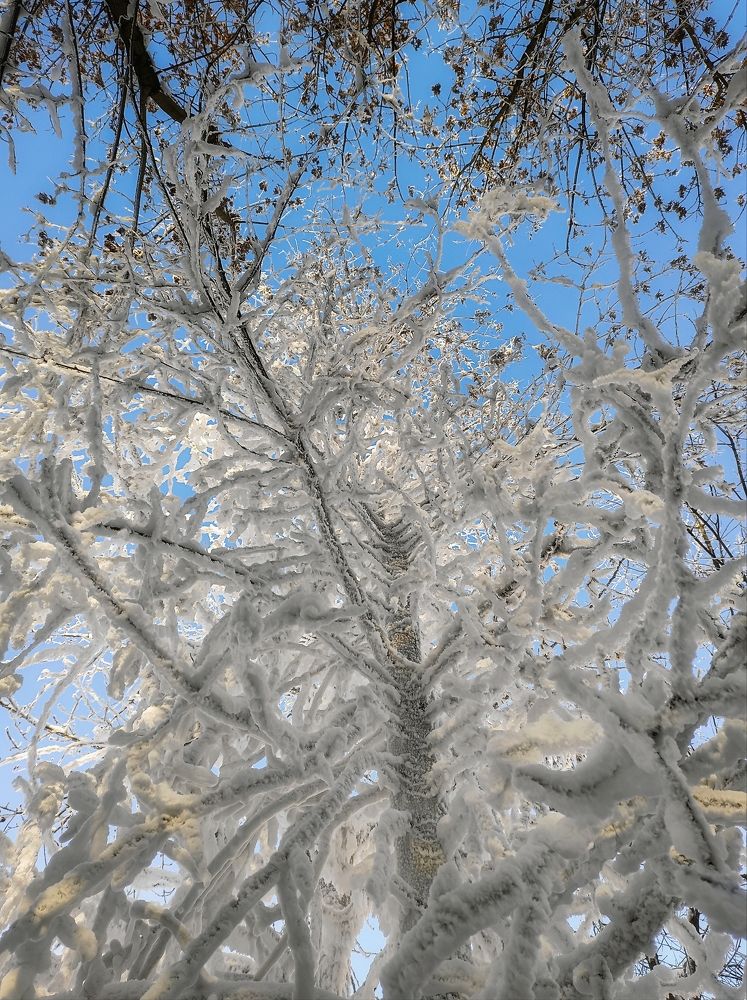 Photograph by Вячеслав Щёголев