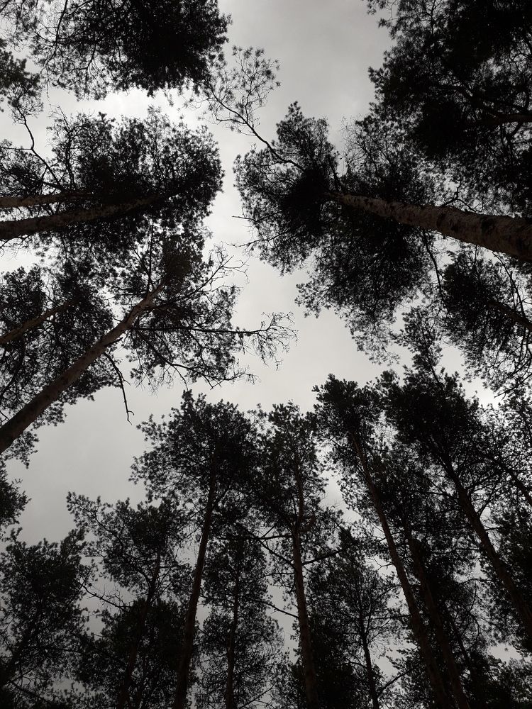 Photograph by Инна Демкив