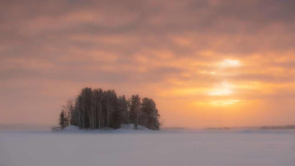 Photograph by Дмитрий Петухов