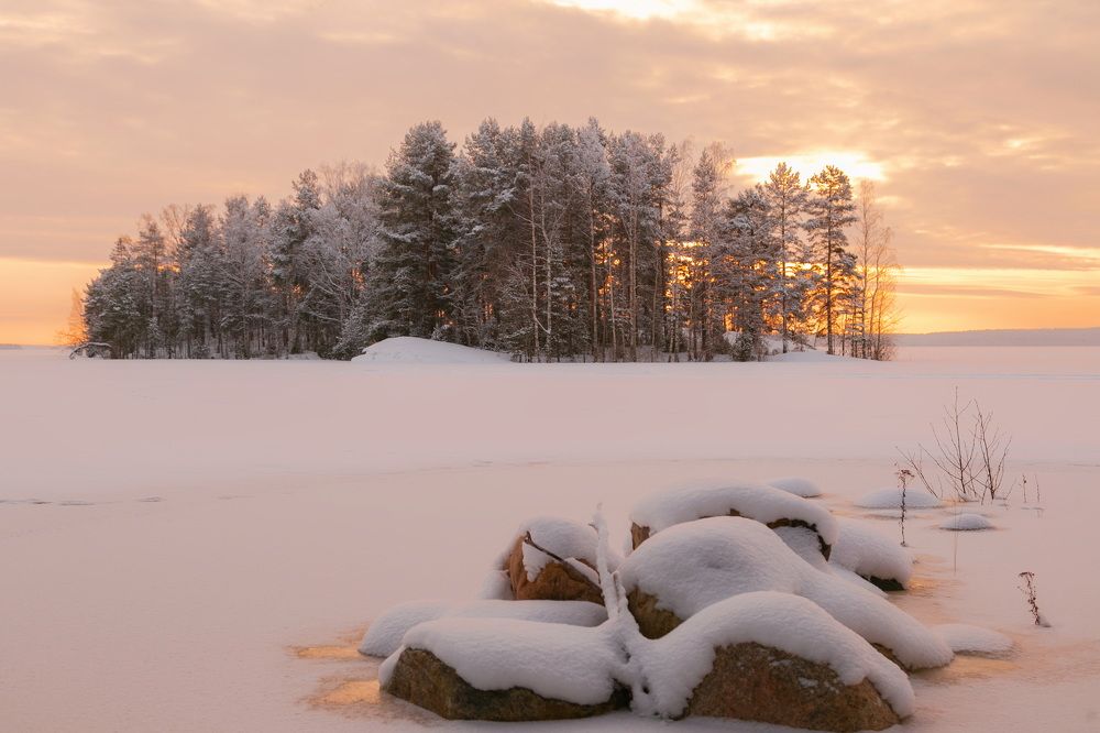 Photograph by Дмитрий Петухов