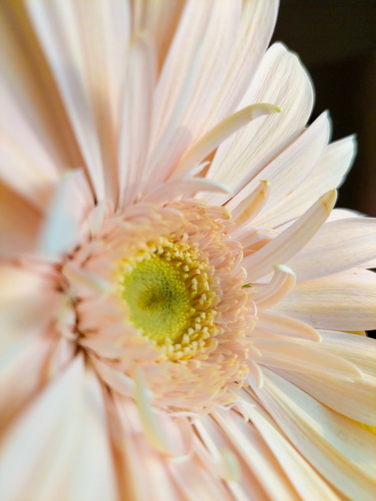 Фотография автора Светлана Дунаева