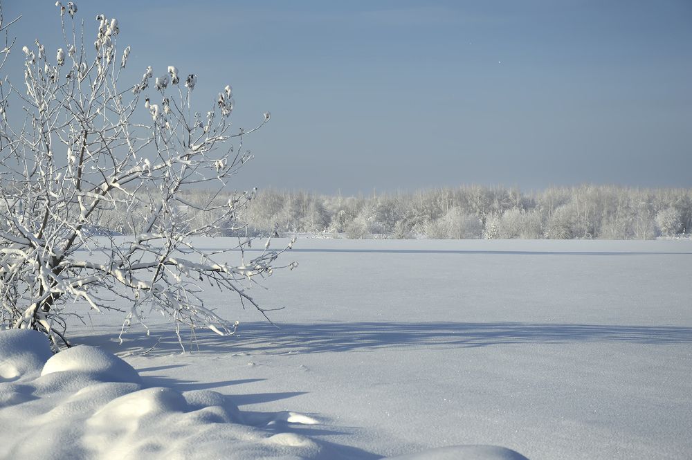 Photograph by Алексей Парамонов