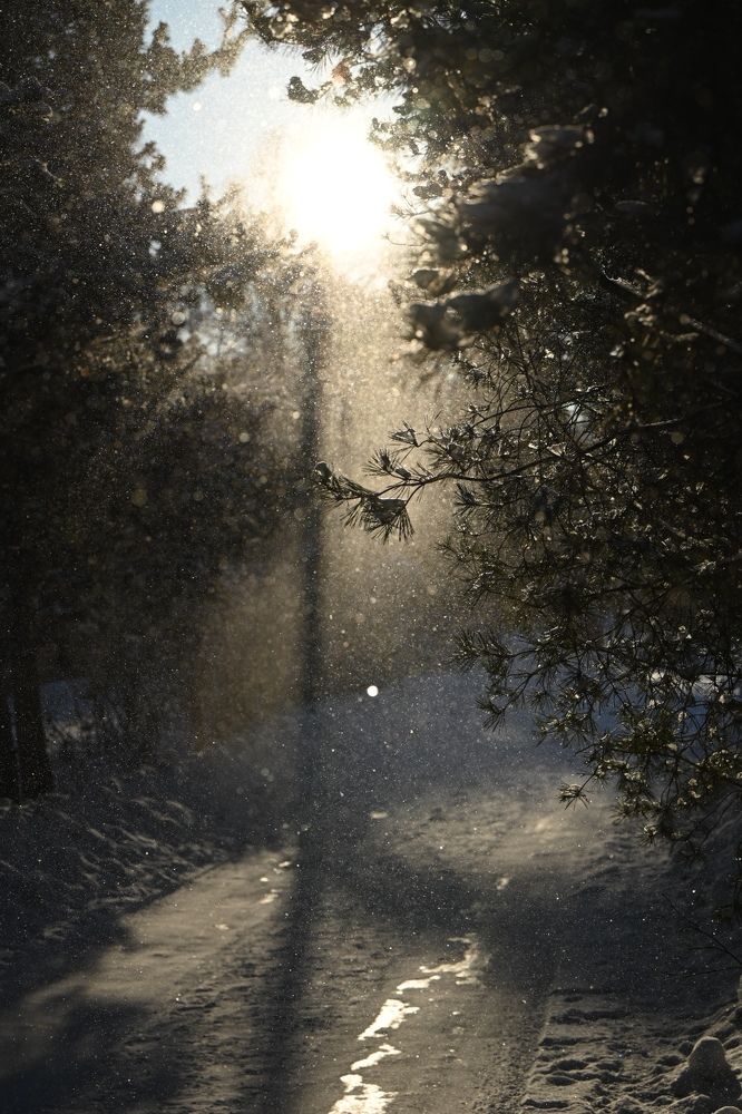 Photograph by Светлана Рубникович