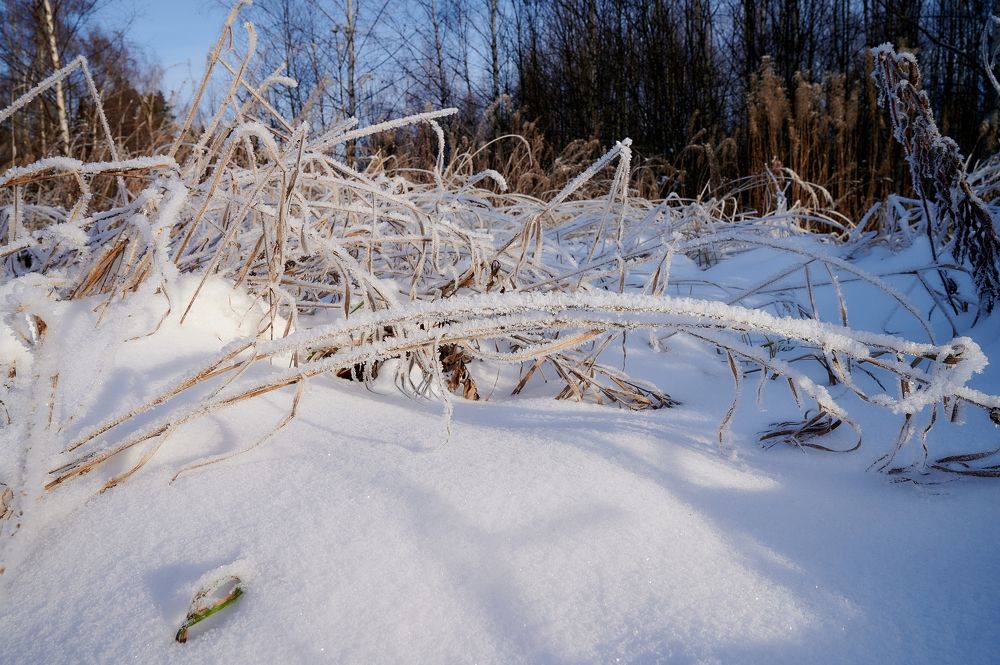 Photograph by Андрей Трякин