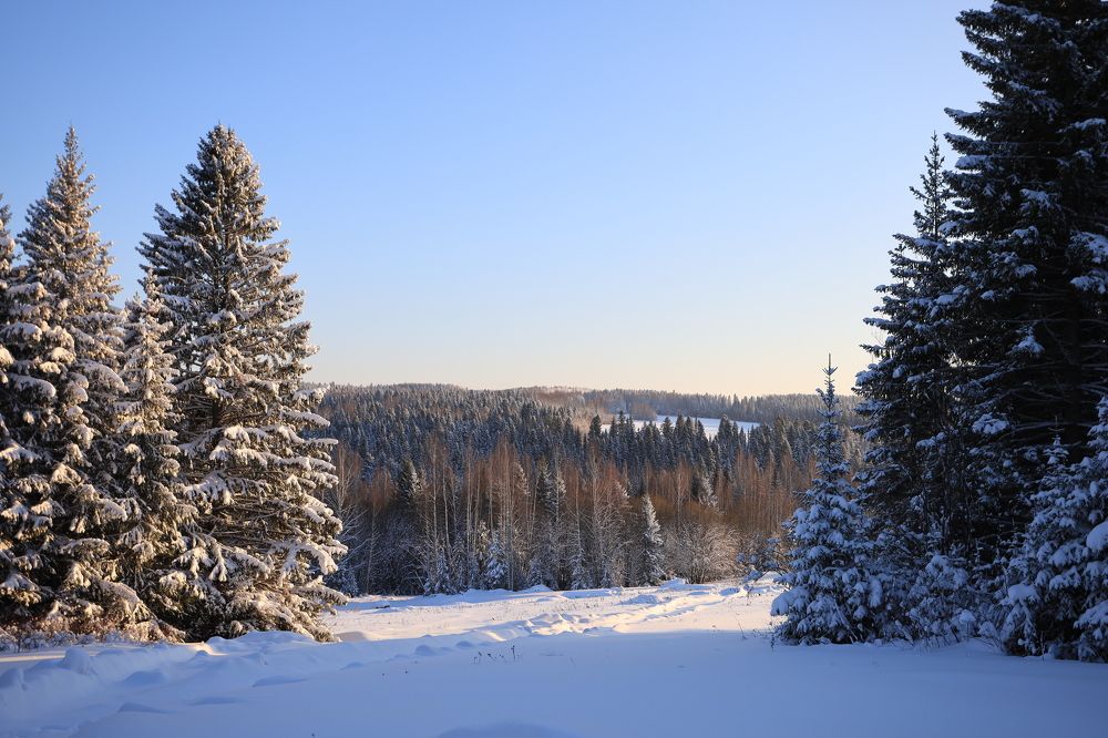 Photograph by Evgenii Kozyrev