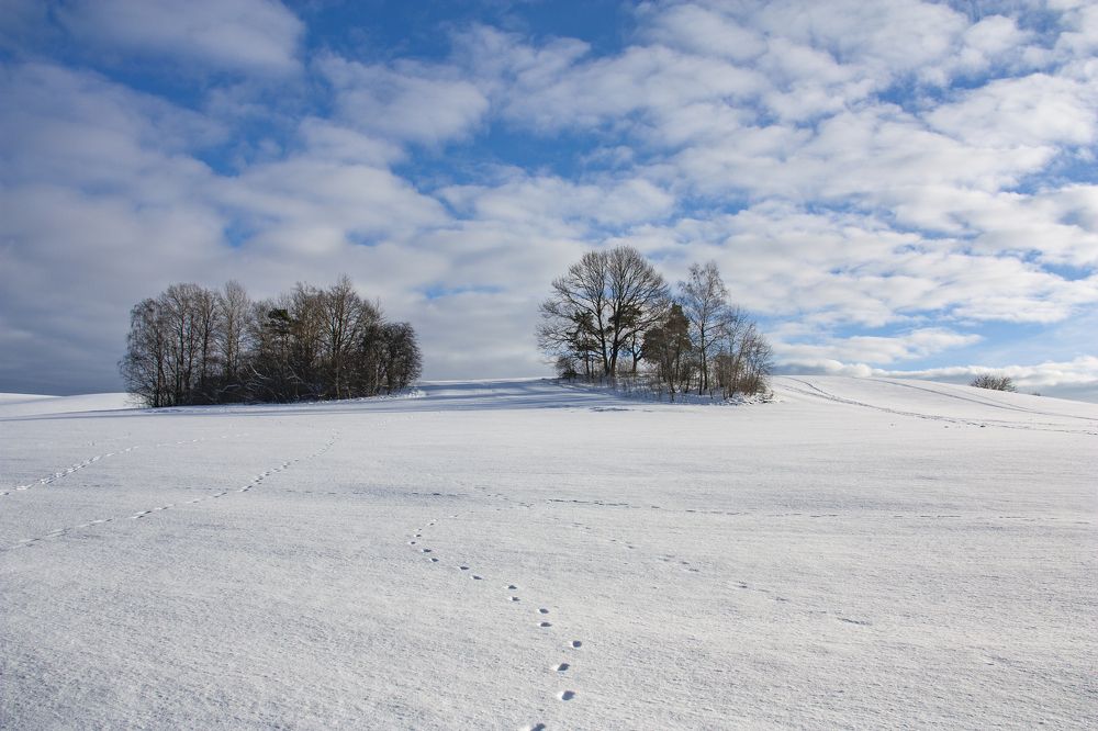 Photograph by Александр Архипов