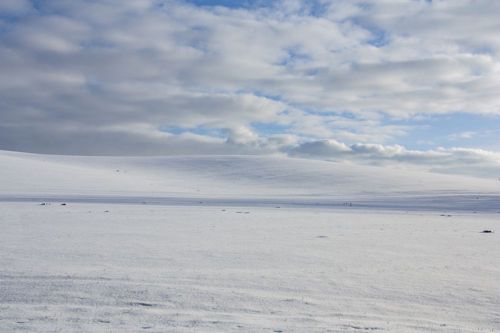 Photograph by Александр Архипов