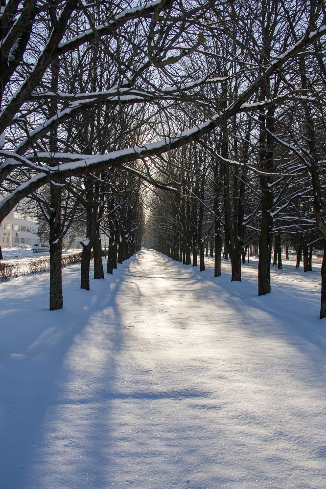 Photograph by Александр Архипов