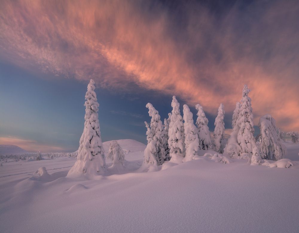 Взмах огненного крыла...