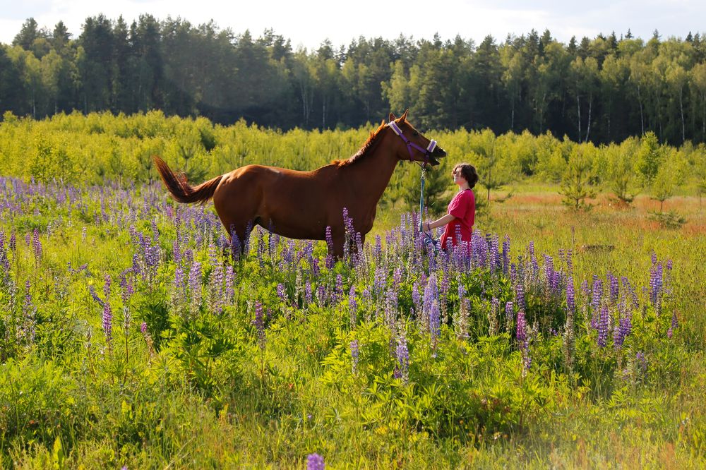 Photograph by Елена Буканина