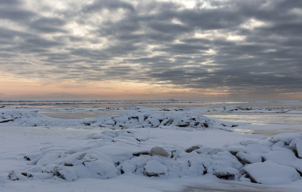 Photograph by Martins Babris