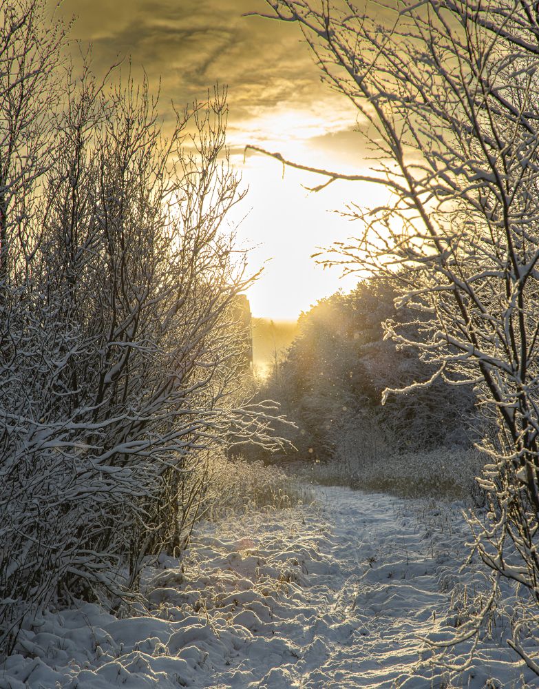 Photograph by Влад Преображенский