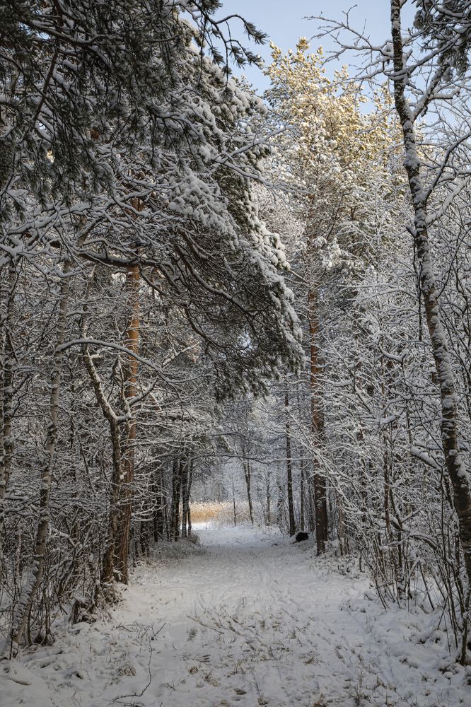 Photograph by Влад Преображенский