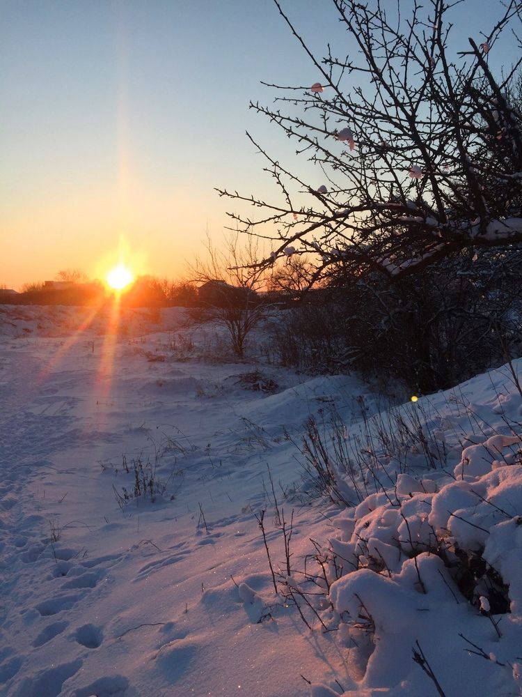 Photograph by Юлия Кононова