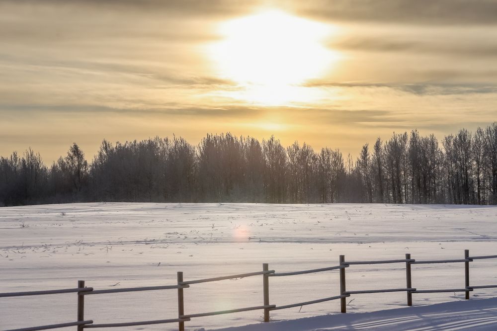 Фотография автора Глеб Салов