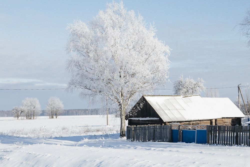 Фотография автора Ольга Никанович