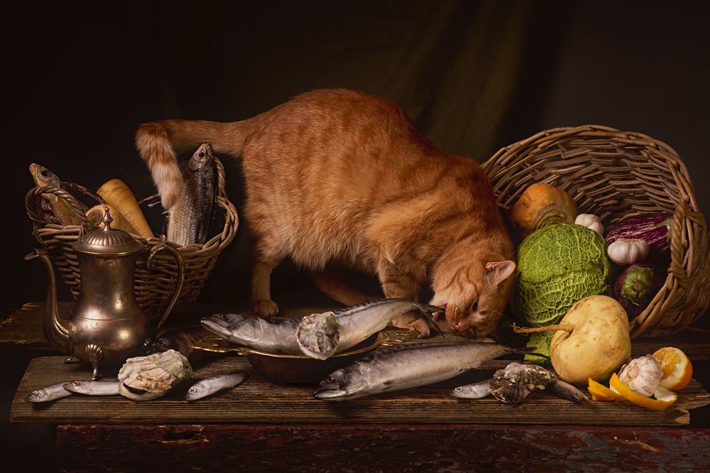 Photograph by Марина Красовская