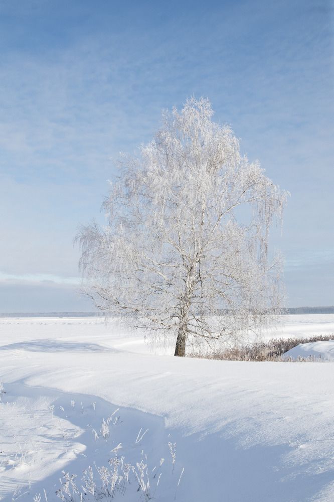 Фотография автора Ольга Никанович