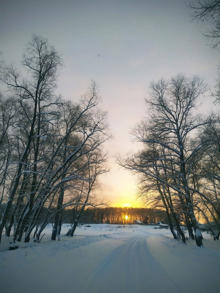 Photograph by Абрам Петерс