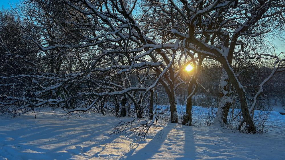 Photograph by Мария Сазонова